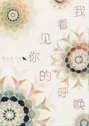 我看见你的收藏相册